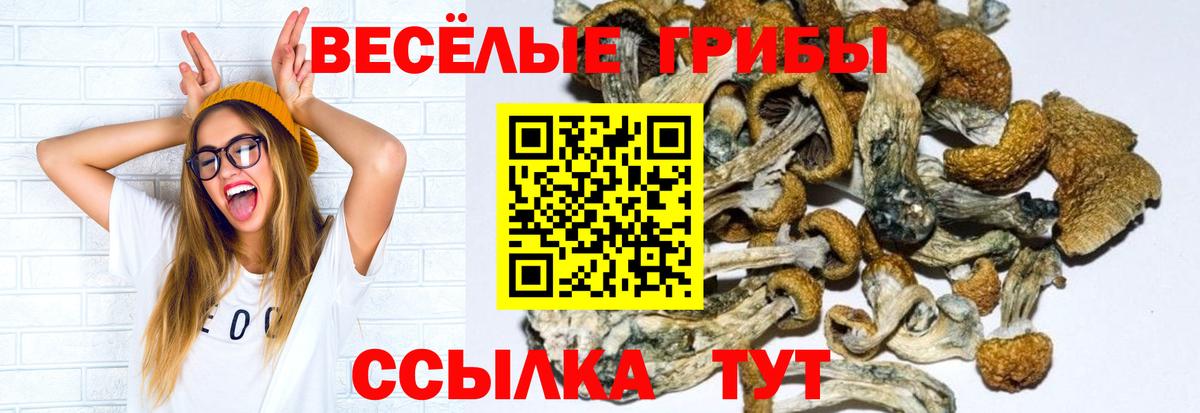 Псилоцибиновые грибы MAGIC MUSHROOMS Бахчисарай
